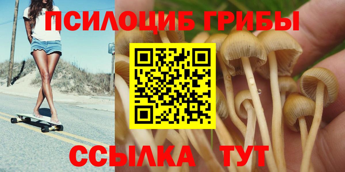 Камень-на-Оби  Галлюциногенные грибы GOLDEN TEACHER  Вход с VPN 